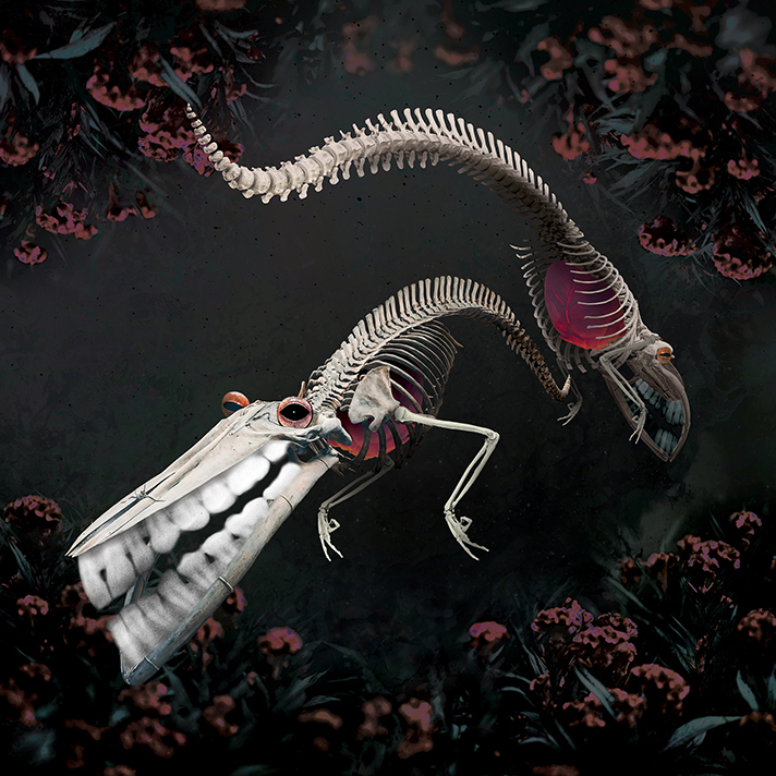 The Obstruction--photocollage